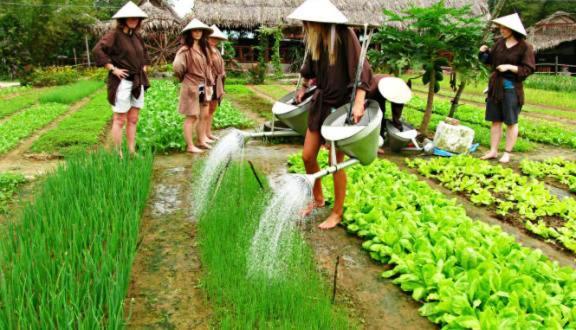 Ri'S House Hoi An Homestay Luaran gambar